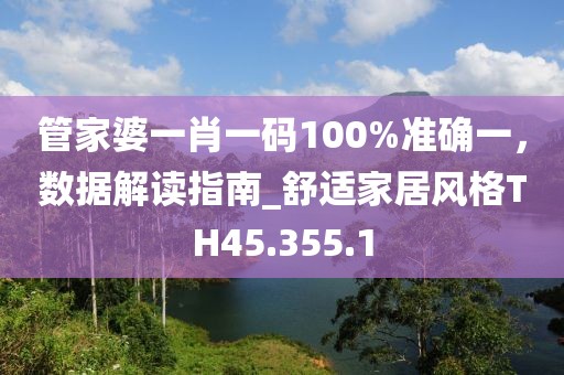 管家婆一肖一码100%准确一，数据解读指南_舒适家居风格TH45.355.1