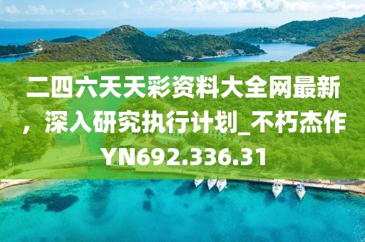 二四六天天彩资料大全网最新，深入研究执行计划_不朽杰作YN692.336.31