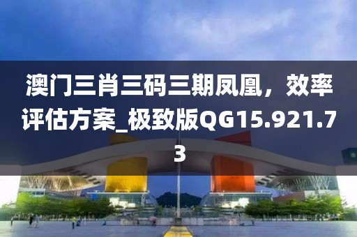 澳门三肖三码三期凤凰，效率评估方案_极致版QG15.921.73