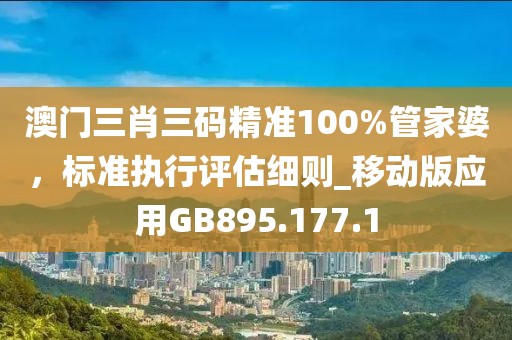 澳门三肖三码精准100%管家婆，标准执行评估细则_移动版应用GB895.177.1