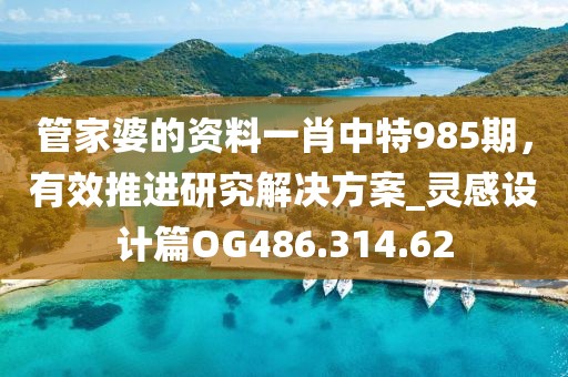 管家婆的资料一肖中特985期，有效推进研究解决方案_灵感设计篇OG486.314.62