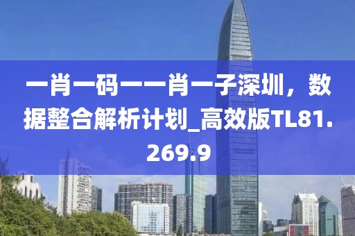 一肖一码一一肖一子深圳，数据整合解析计划_高效版TL81.269.9