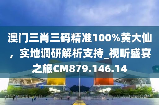 澳门三肖三码精准100%黄大仙，实地调研解析支持_视听盛宴之旅CM879.146.14