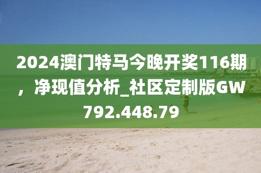 2024澳门特马今晚开奖116期，净现值分析_社区定制版GW792.448.79