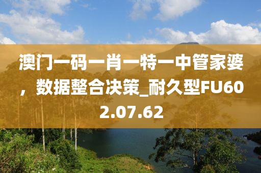 澳门一码一肖一特一中管家婆，数据整合决策_耐久型FU602.07.62