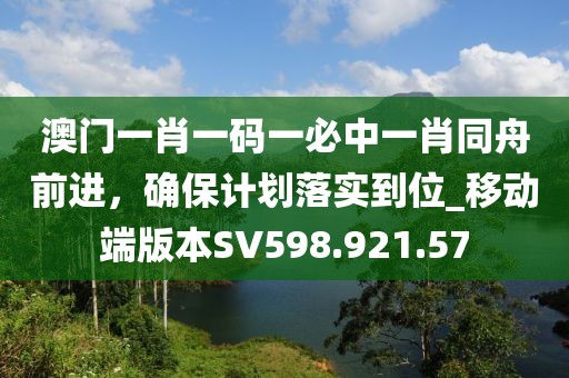 澳门一肖一码一必中一肖同舟前进，确保计划落实到位_移动端版本SV598.921.57