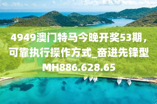 4949澳门特马今晚开奖53期，可靠执行操作方式_奋进先锋型MH886.628.65