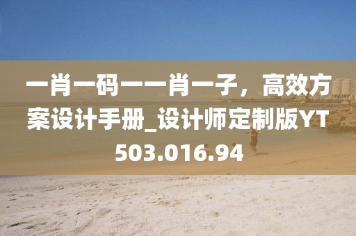 一肖一码一一肖一子，高效方案设计手册_设计师定制版YT503.016.94