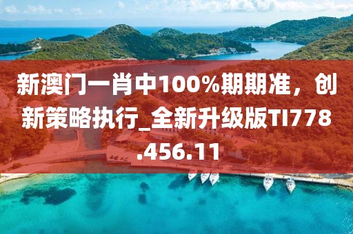 新澳门一肖中100%期期准，创新策略执行_全新升级版TI778.456.11