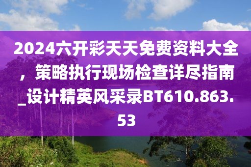 2024六开彩天天免费资料大全，策略执行现场检查详尽指南_设计精英风采录BT610.863.53