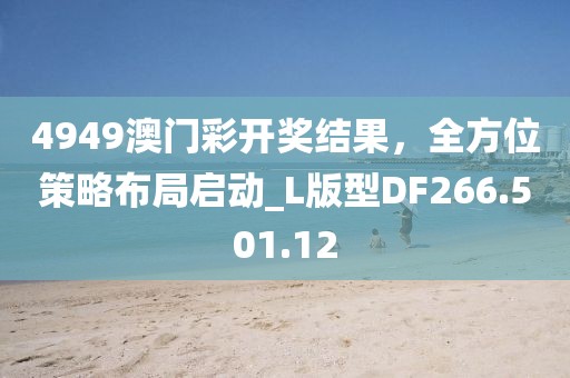 4949澳门彩开奖结果，全方位策略布局启动_L版型DF266.501.12