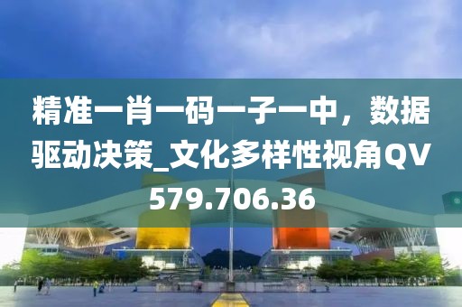 精准一肖一码一子一中，数据驱动决策_文化多样性视角QV579.706.36