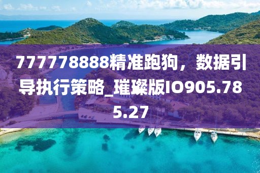 777778888精准跑狗，数据引导执行策略_璀璨版IO905.785.27