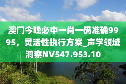 澳门今晚必中一肖一码准确9995，灵活性执行方案_声学领域洞察NV547.953.10