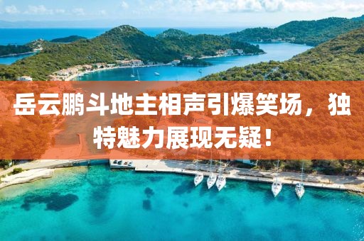 岳云鹏斗地主相声引爆笑场，独特魅力展现无疑！