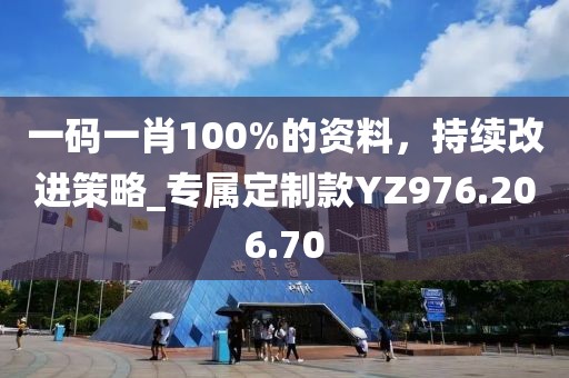 一码一肖100%的资料，持续改进策略_专属定制款YZ976.206.70
