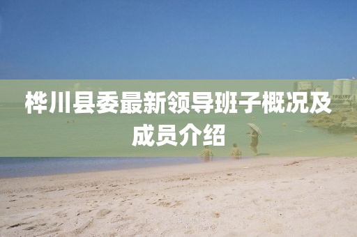 桦川县委最新领导班子概况及成员介绍