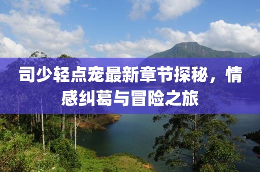 司少轻点宠最新章节探秘，情感纠葛与冒险之旅