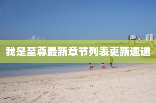 我是至尊最新章节列表更新速递