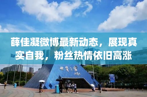 2024年11月 第7页