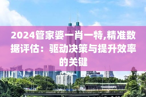 2024管家婆一肖一特,精准数据评估：驱动决策与提升效率的关键