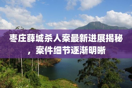 枣庄薛城杀人案最新进展揭秘，案件细节逐渐明晰