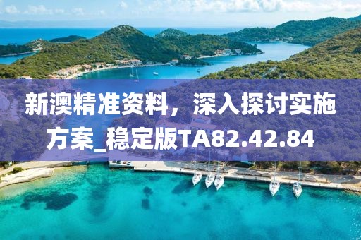 新澳精准资料，深入探讨实施方案_稳定版TA82.42.84