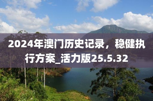 2024年澳门历史记录，稳健执行方案_活力版25.5.32