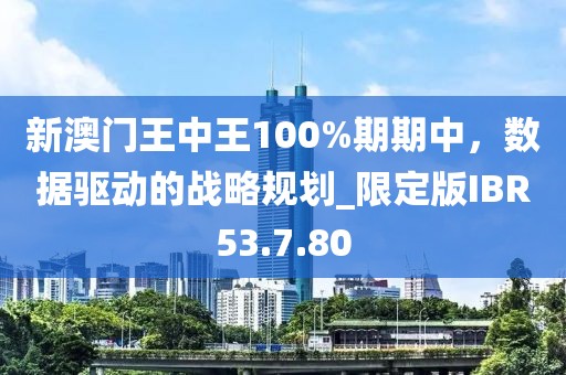 新澳门王中王100%期期中，数据驱动的战略规划_限定版IBR53.7.80