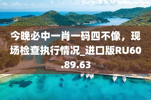 今晚必中一肖一码四不像，现场检查执行情况_进口版RU60.89.63