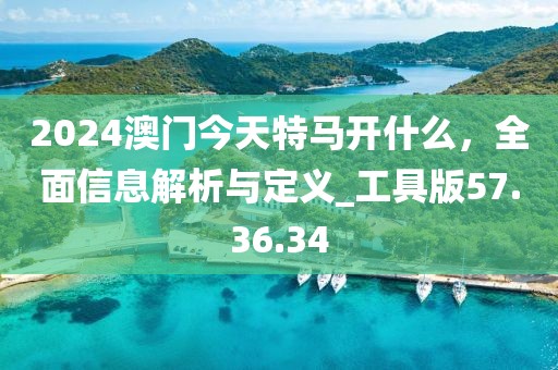 2024澳门今天特马开什么，全面信息解析与定义_工具版57.36.34