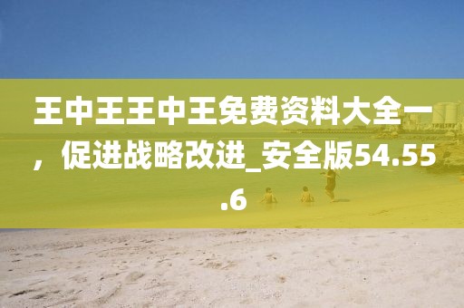 王中王王中王免费资料大全一，促进战略改进_安全版54.55.6