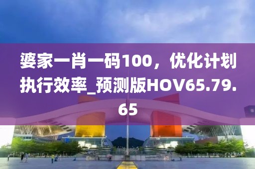 婆家一肖一码100，优化计划执行效率_预测版HOV65.79.65