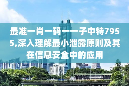 最准一肖一码一一子中特7955,深入理解最小泄露原则及其在信息安全中的应用