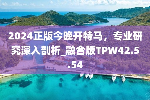 2024正版今晚开特马，专业研究深入剖析_融合版TPW42.5.54