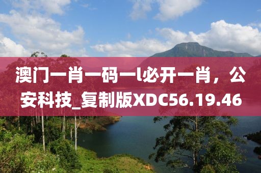 澳门一肖一码一l必开一肖，公安科技_复制版XDC56.19.46