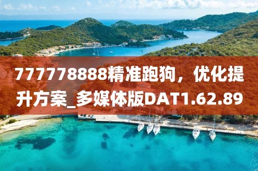 777778888精准跑狗，优化提升方案_多媒体版DAT1.62.89