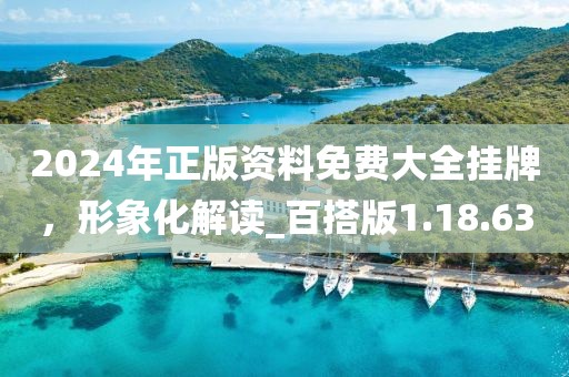 2024年正版资料免费大全挂牌，形象化解读_百搭版1.18.63
