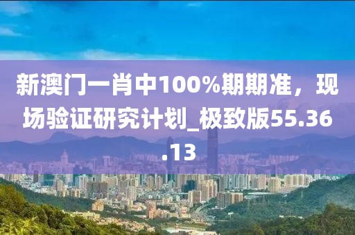 新澳门一肖中100%期期准，现场验证研究计划_极致版55.36.13
