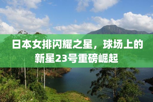 日本女排闪耀之星，球场上的新星23号重磅崛起