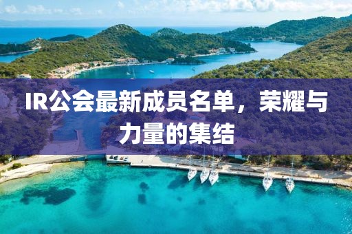 IR公会最新成员名单，荣耀与力量的集结