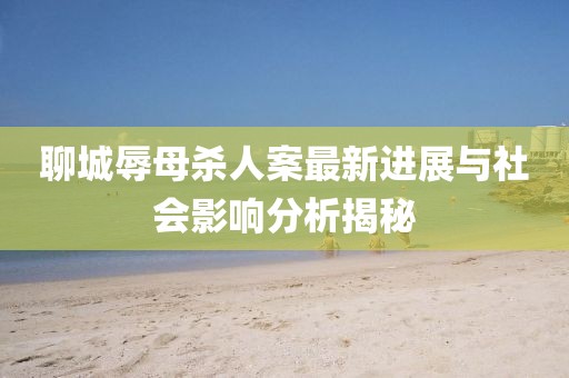 聊城辱母杀人案最新进展与社会影响分析揭秘