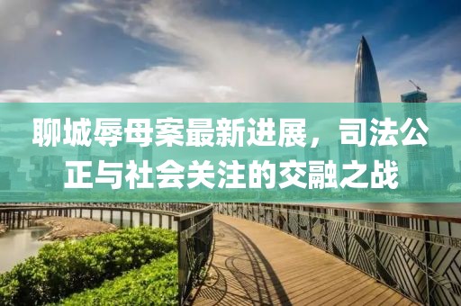聊城辱母案最新进展，司法公正与社会关注的交融之战