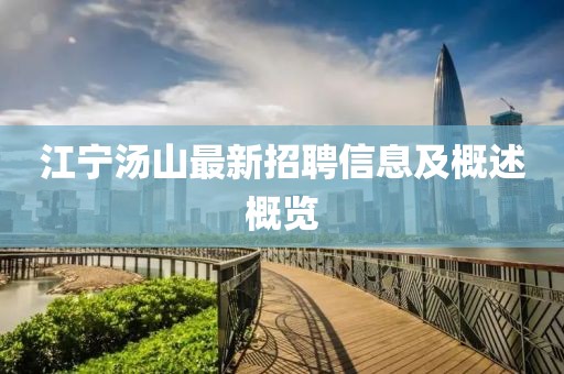 江宁汤山最新招聘信息及概述概览