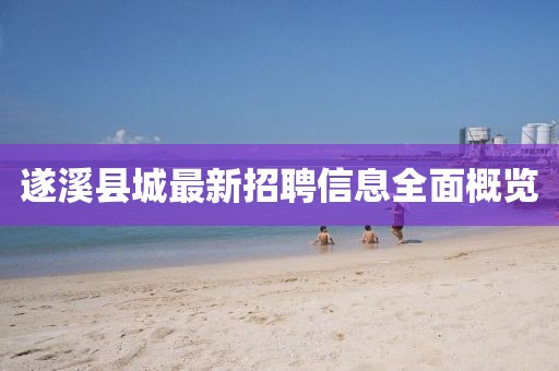 2024年12月 第1221页
