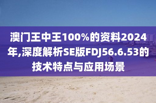 澳门王中王100%的资料2024年,深度解析SE版FDJ56.6.53的技术特点与应用场景