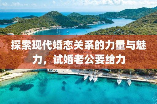 探索现代婚恋关系的力量与魅力，试婚老公要给力