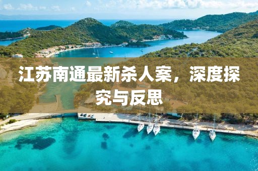 江苏南通最新杀人案，深度探究与反思