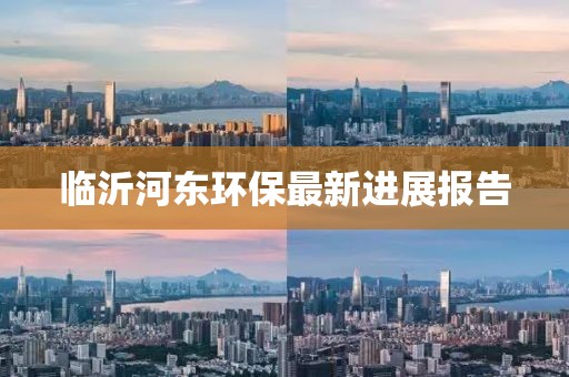 临沂河东环保最新进展报告