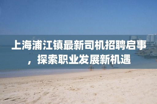 上海浦江镇最新司机招聘启事，探索职业发展新机遇